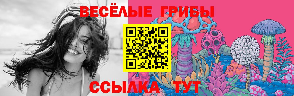 Галлюциногенные грибы ЛСД  Галлюциногенные грибы Cubensis  Новоалександровск  Вход с VPN 