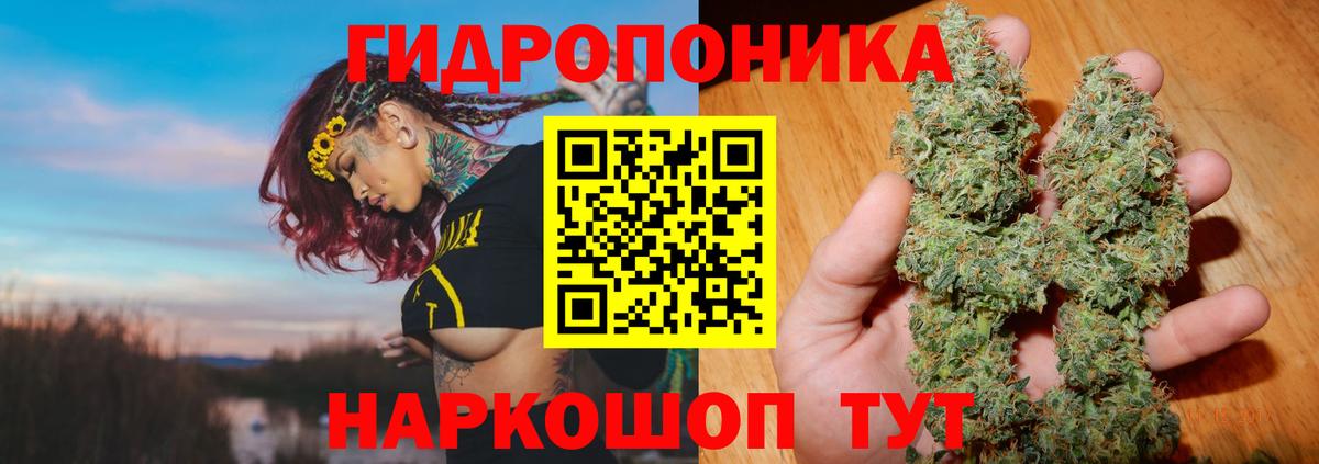 Шишки марихуана White Widow Новоалександровск